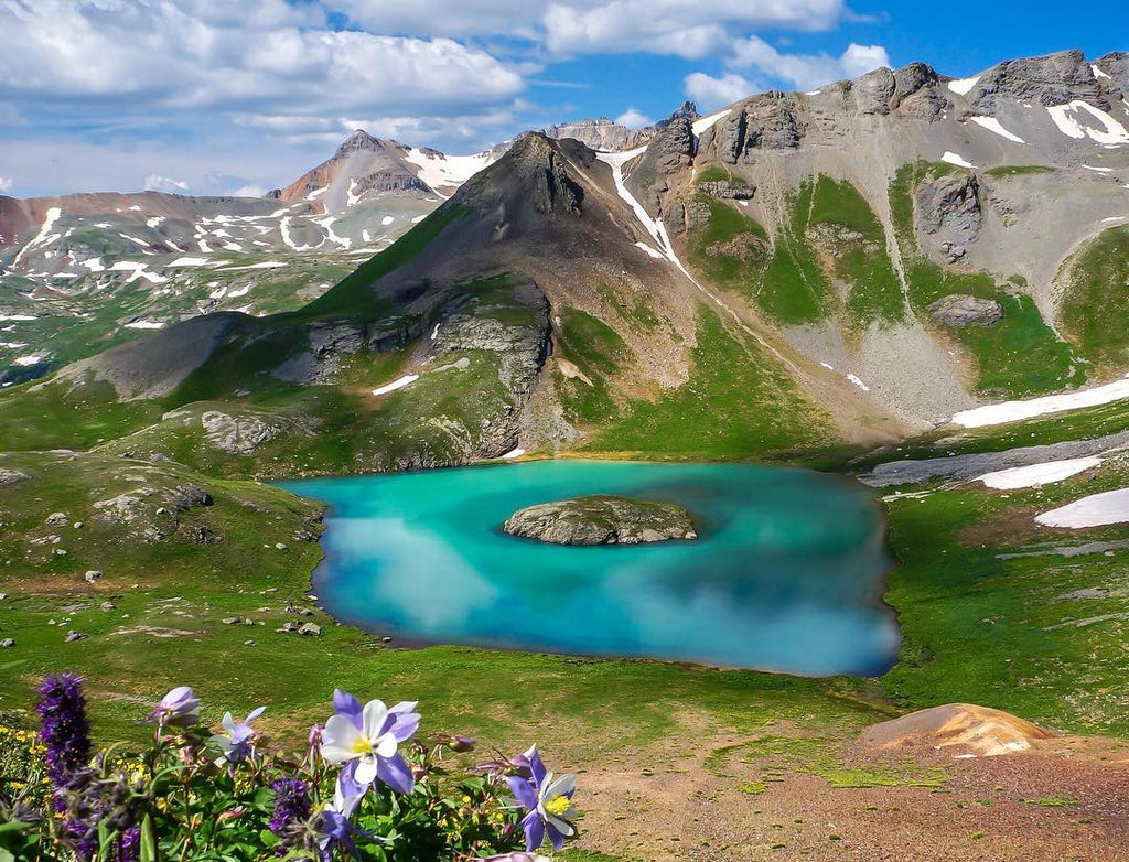 The 8 Best Wildflower Hikes in Colorado